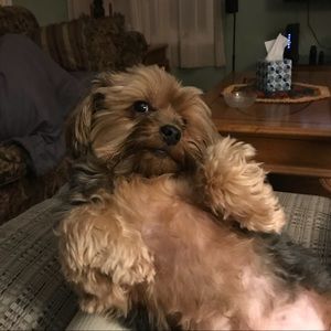 Meet your Posher, Daniel